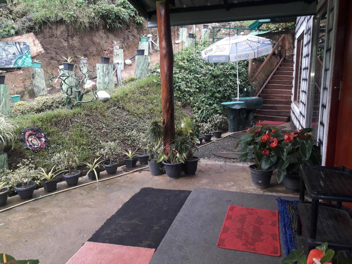 Ohiya Jungle resort Bagian luar foto