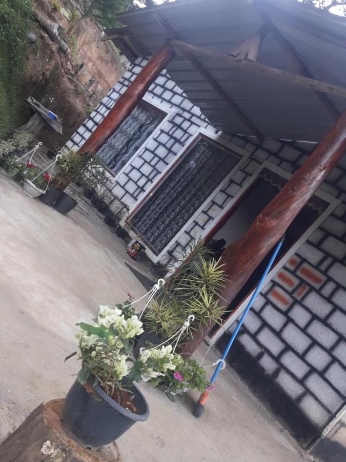 Ohiya Jungle resort Bagian luar foto