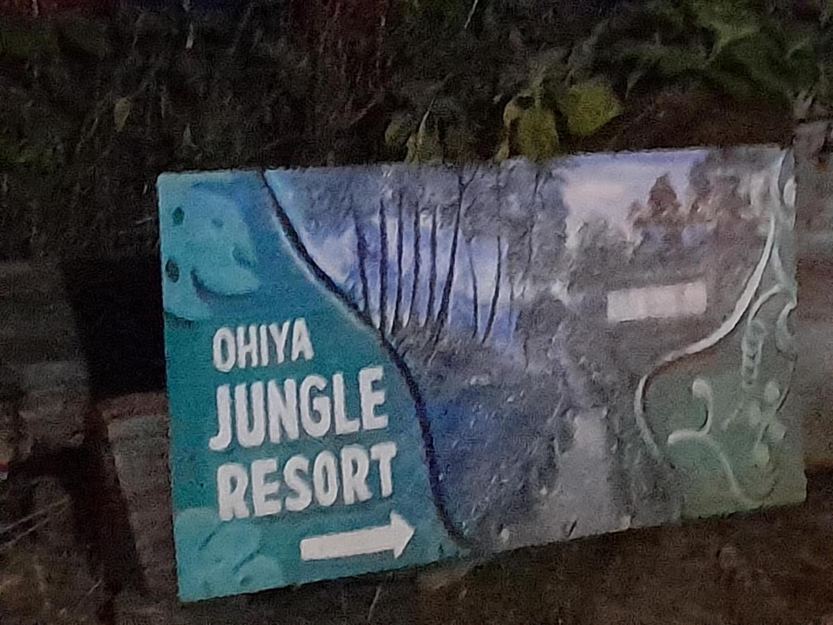 Ohiya Jungle resort Bagian luar foto