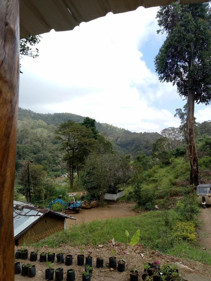 Ohiya Jungle resort Bagian luar foto